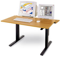 ergo MC