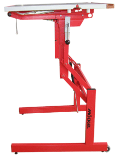 ergo P4 R