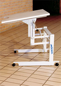 ergo SR